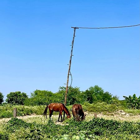 Tekri Farms And Retreat Hotel Ujjain Exterior photo
