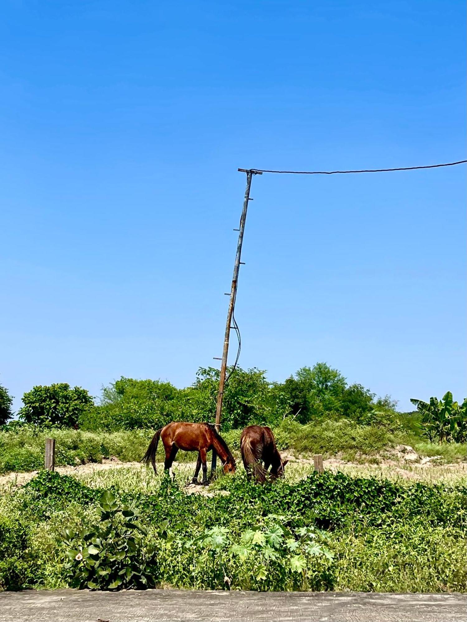 Tekri Farms And Retreat Hotel Ujjain Exterior photo