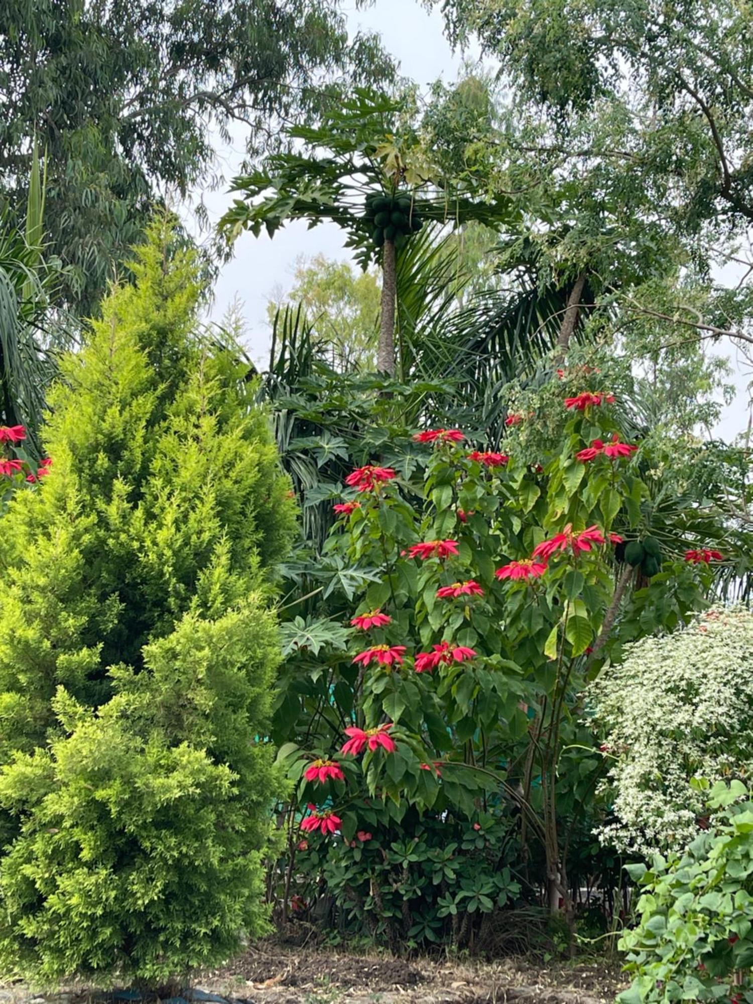 Tekri Farms And Retreat Hotel Ujjain Exterior photo