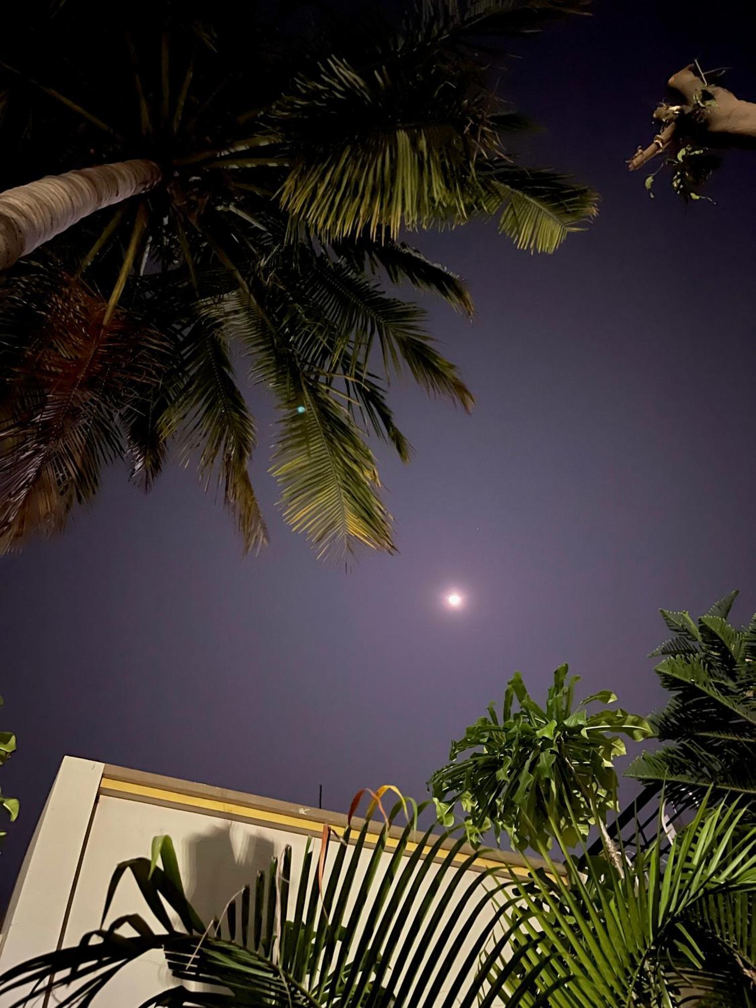 Tekri Farms And Retreat Hotel Ujjain Exterior photo